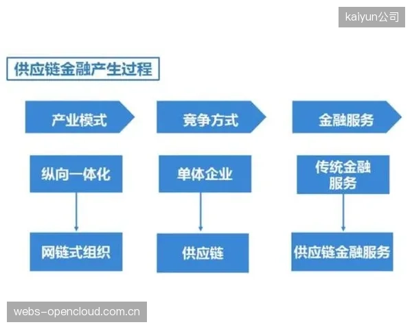 发展周期 资本注入整合体育服务供应链 规模效应